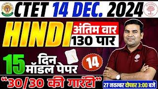 CTET 14 DECEMBER 2024 | CTET HINDI CLASS | HINDI MODEL PAPER 14 | TARGET CTET HINDI 30/30