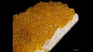 Pike caviar - how to cook. Pike caviar is five minutes old. Pike caviar cooking recipe.