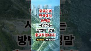 중국인이 한국에서 공짜로 사업하는 방법이 정말 충격적입니다!