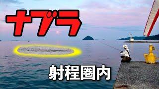 釣り場に着いたらナブラ発生！しかも射程圏内…