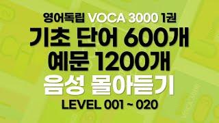 [영어독립 VOCA 3000 1권] 단어와 예문 몰아듣기. 단어와 예문으로 영어 기초 완성.