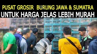 KIOS TEMPAT GROSIR BURUNG JAWA & SUMATRA  HARGA PASTI LEBIH MURAH DI PASAR BURUNG PRAMUKA