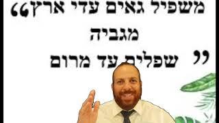 "מַשְׁפִּיל גֵּאִים עֲדֵי אָרֶץ.ומַגְבִּיהַּ שְׁפָלִים עַד מָרום" -ליאור משה שמח