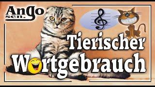  Tierischer Wortgebrauch   Tierisch-Gut / Lied / Song / WhatsApp