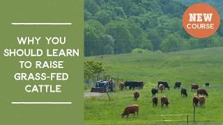 Why you should learn to raise grass-fed cattle | Joel Salatin's Salad Bar Beef Video Course Trailer