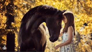 Horse Video with Peaceful Relaxing Ambient Background Music