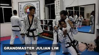Hapkido - Grandmaster Julian Lim