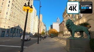 Fall Chicago Michigan Ave, The Art Institute of Chicago 4K Bike Ride with Relaxing Music