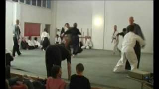 Harald Ross, Aikikan: aikikan late night 2