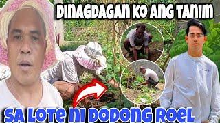 ️TANIM KO SA LOTE NI DODONG ROEL LALONG DUMAMI AT @ALEX LIBRADA VLOGS