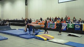 Allison Zuhlke Level 10 Vault JO Nationals 2017