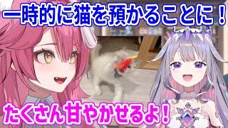 ビブーが出張＋旅行の間、John Catのお世話をすることになったラオーラ／行く前にみんなとハグをするビブーだが...【ホロライブ切り抜き/古石ビジュー/ラオーラ・パンテーラ】