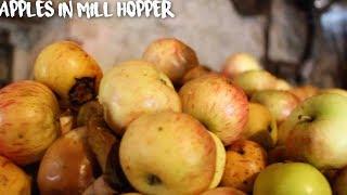 Traditional Cider Making Somerset UK - Cider Making Documentary