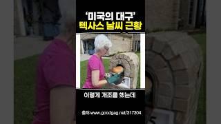 '미국의 대구' 텍사스 날씨 근황