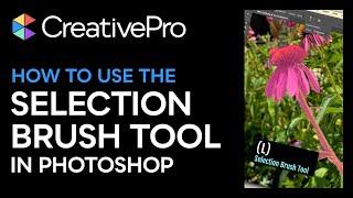 Photoshop: How to Use the New Selection Brush Tool (Video Tutorial)