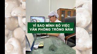 Vì sao mình bỏ việc văn phòng trồng nấm ?