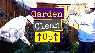 Fall Vegetable Garden Clean Up
