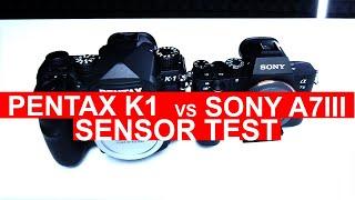 SONY A7III | BEST FULL FRAME SENSOR ?