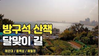 방구석산책 / 달맞이길 / 해운대 / 부산 드라이브/ 해월정