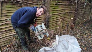 Was This A Grave We Discovered On A FREE Overgrown Yard Clerance?