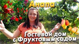 #Анапа БЮДЖЕТНЫЙ ОТДЫХ В БЛАГОВЕЩЕНСКОЙ.