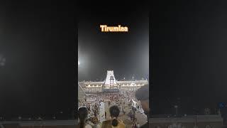 Tirumala #shorts #trending #tirumala #bramhotsavalu #tirupati #tirumalaladdu #balaji