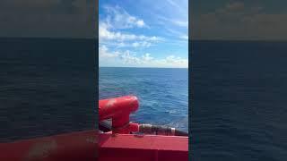 Out in the Gulf #views #season #gulf #sea #water #viral #video #viralvideo #viralshorts #vlog