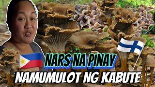 PINAY NURSE NAMUMULOT NG WINTER MUSHROOMS SA GUBAT NG FINLAND | THE LINDEMANS