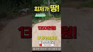 전국 최저가 땅! 1350만원 ~전체 관리지역 자연인 땅! #shorts #땅 #싼땅 #세상사는 부동산