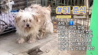 미미의 행복한 보호소 집중 탐구  3 - 첫번째 통로 친구들 소개