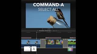Final Cut Pro Shortcut | Command-A | Select All