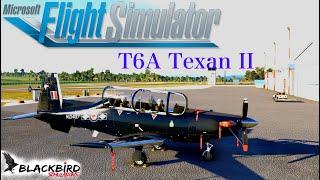 MSFS / T6A Texan II by Blackbird Simulations / NZAP - NZWP/