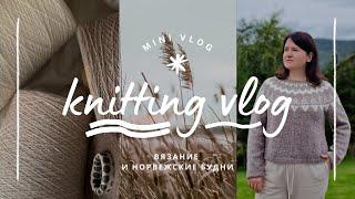 vlog 33/24 | моя новая лопапейса #selenesweater  вяжу базовый свитер с японским плечом на осень 