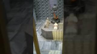 Shiv bhajan Bhole Baba Ke gana bhakti#Santosh Bhole Baba gana#trending#shrot video#viral#subscribe 