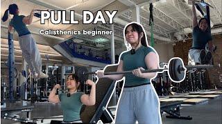 MY PULL DAY AS A CALISTHENICS BEGINNER