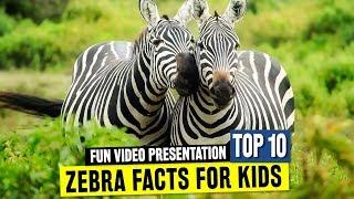 All about Zebras for Learners: Fun Facts and Wild African Animal Information for Schools