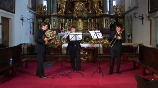 Schagerl Brass Festival 2008 - Warsaw Brass Trio - Telemann Sonate