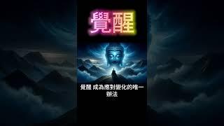 覺醒：源於自心，外求無益 #開悟