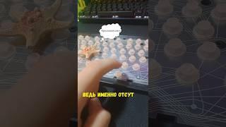 Чем отличается механическая клавиатура от мембранной???? #pc #обзор #сравнение #клавиатура #пк #game