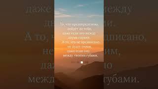 #напоминание #ислам #польза