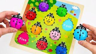 Learn Colors, ABC & Numbers | Miraculous Ladybugs + More Kid Toys | Preschool Toddler Learning Video