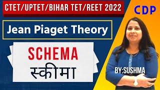 Schema Piaget Theory | Schema Kya Hai  ? | स्कीमा क्या है ? | Jean Piaget (जीन पियाजे)