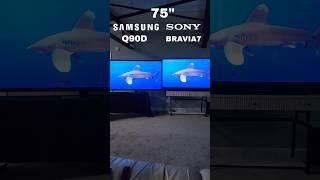 SONY BRAVIA 7 VS SAMSUNG QN90D.  MINI-LED BATTLE AT 75" #SamsungQ90D #SonyBravia7 #QN90DVSBRAVIA7