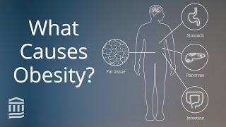 Obesity: Causes, Health Conditions, and Treatment | Mass General Brigham