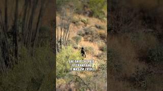 Human smugglers bail out on US 60 near Phoenix.