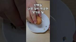 단백질, 너무 많이 먹으면 생기는 일 #단백질주의 #영양과잉 #건강하게 #단백질섭취 #신장건강