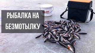 КЛЮЕТ С ПЕРВОЙ ЛУНКИ! Зимняя рыбалка по первому льду