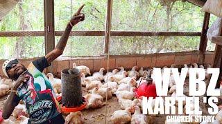 GOD LEVEL Chicken Farming Jamaica - Vybz Kartel's Chicken Story