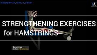 Strengthening Exercises for Hamstrings | Exercises for Leg Pain | @DrUmeAiman