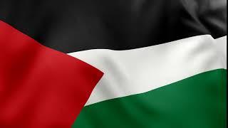 علم فلسطين بدقة اربعة كي palestine flag 4k